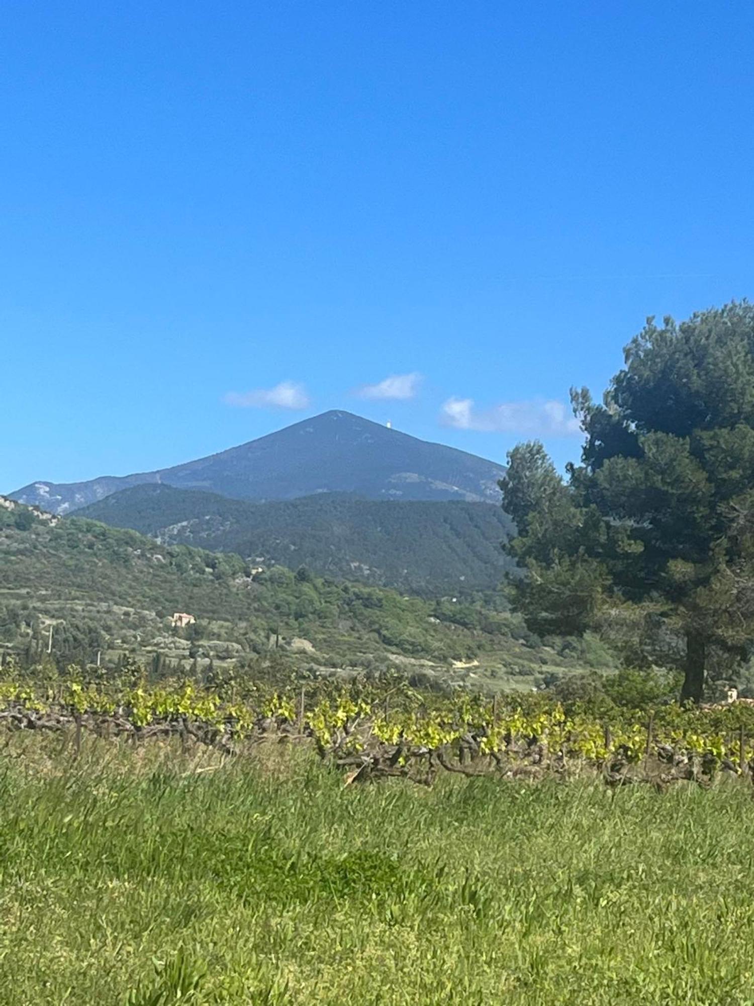 فندق Le Frangipanier Le Barroux المظهر الخارجي الصورة