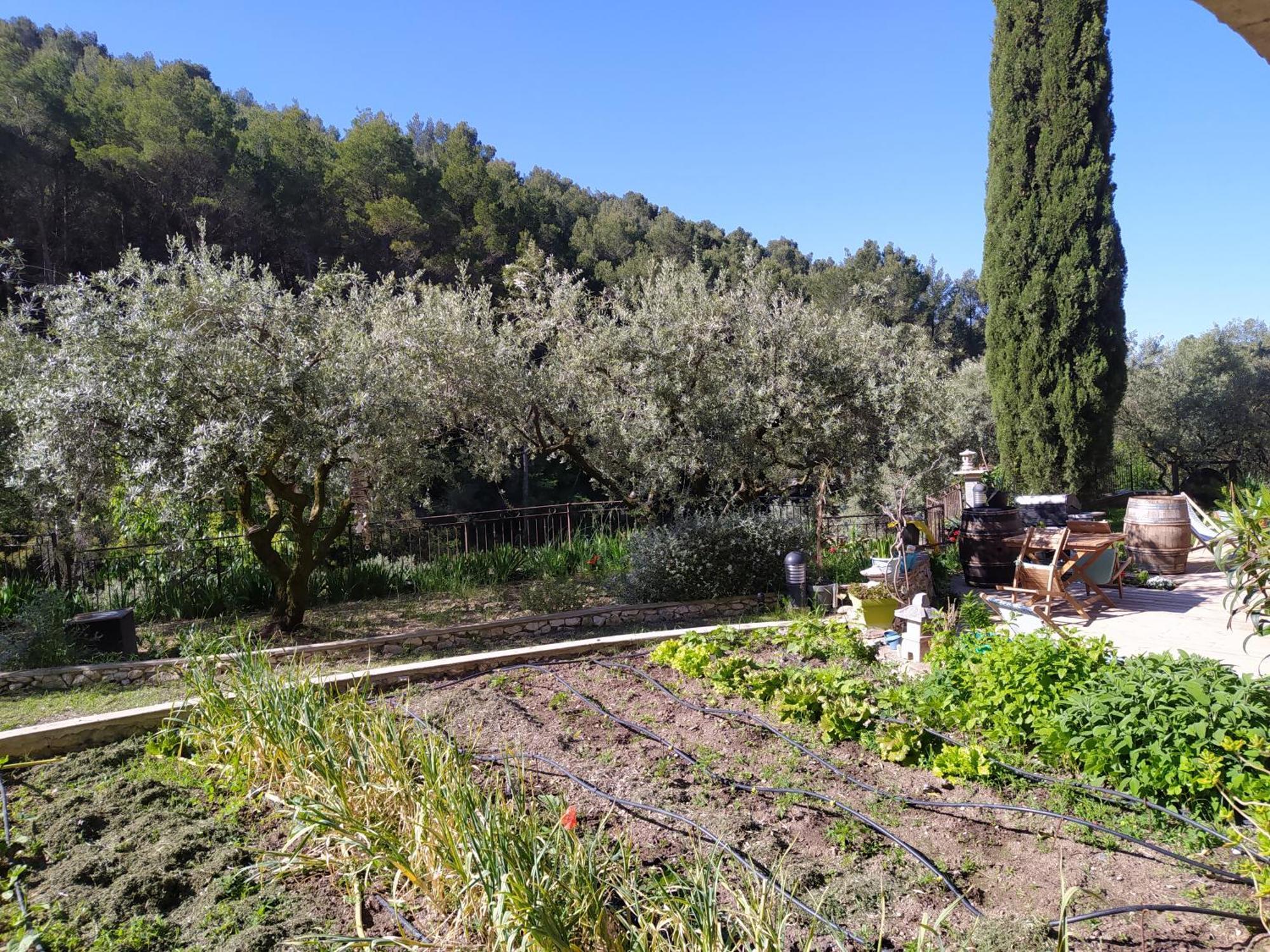 فندق Le Frangipanier Le Barroux الغرفة الصورة